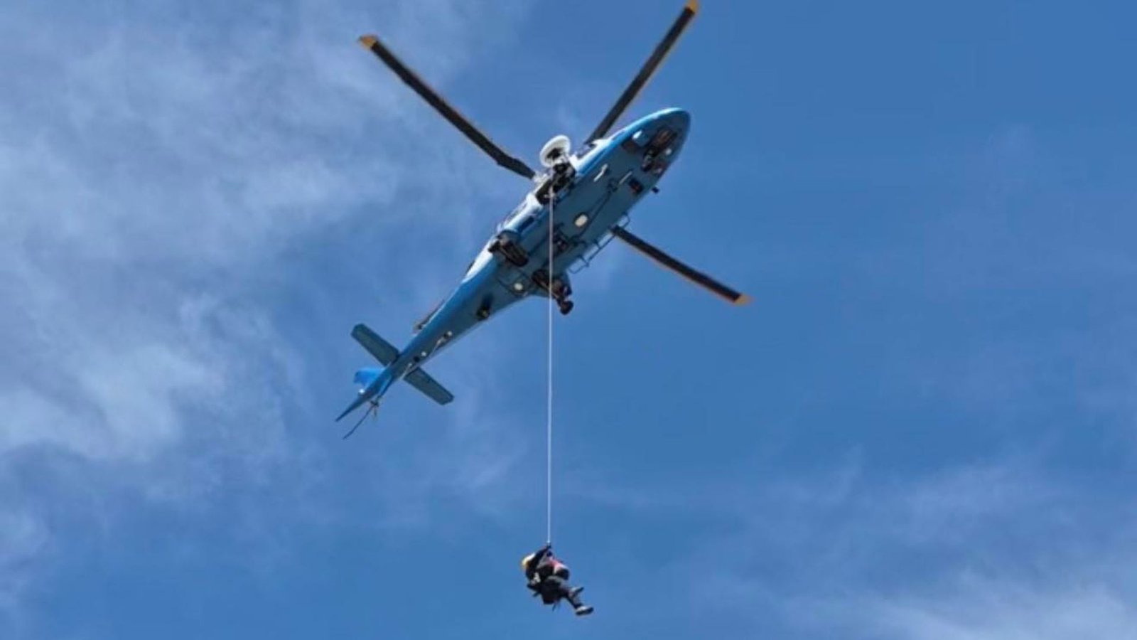 Hiker fighting for his life after bee attack