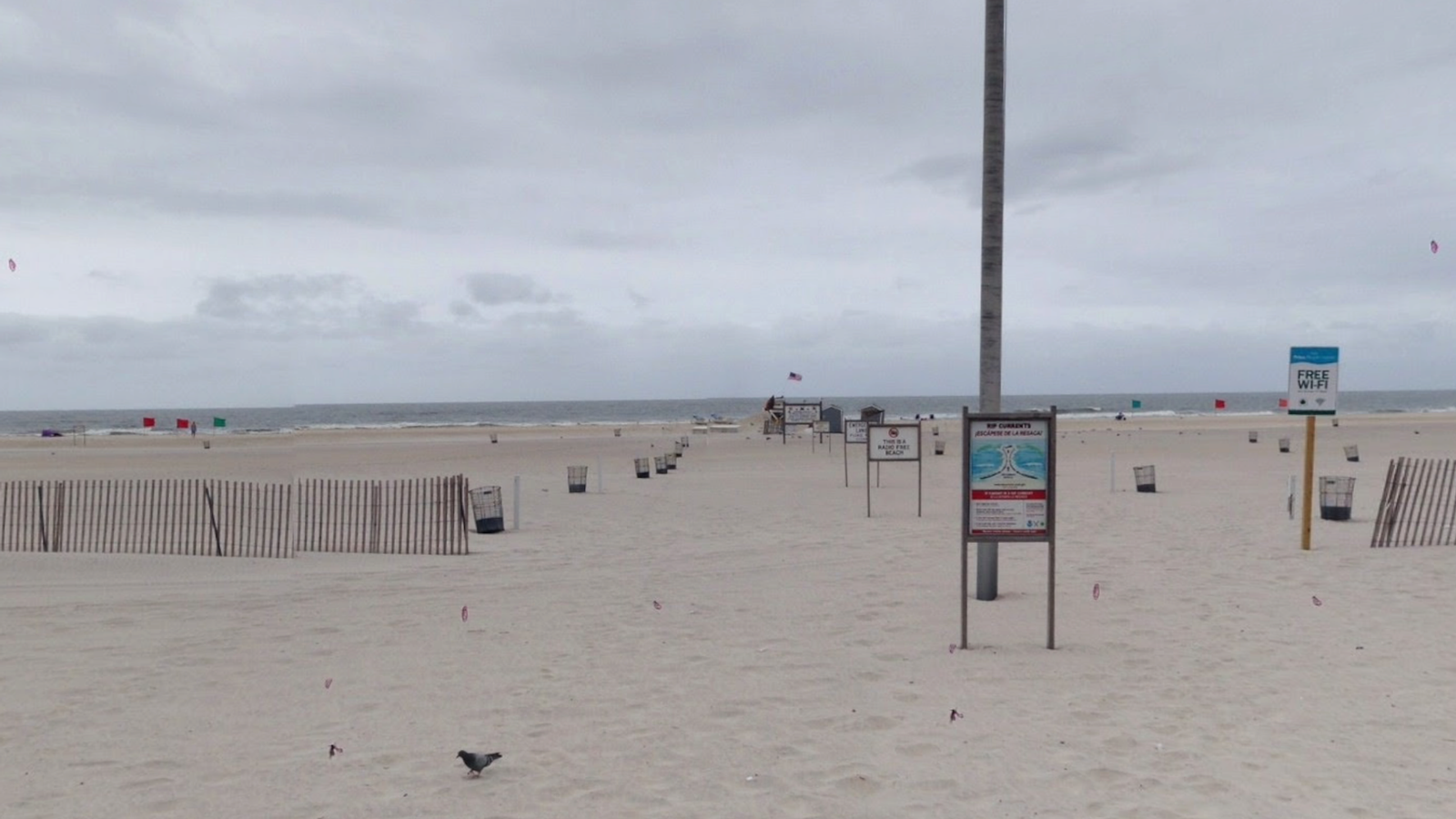 Suspected shark attack as swimmer bitten at New York beach