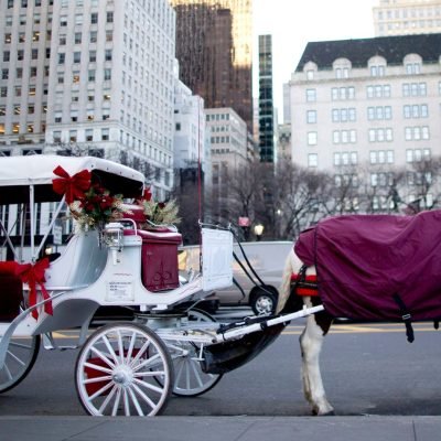 New York City to end horse-drawn carriage rides after teenager’s death